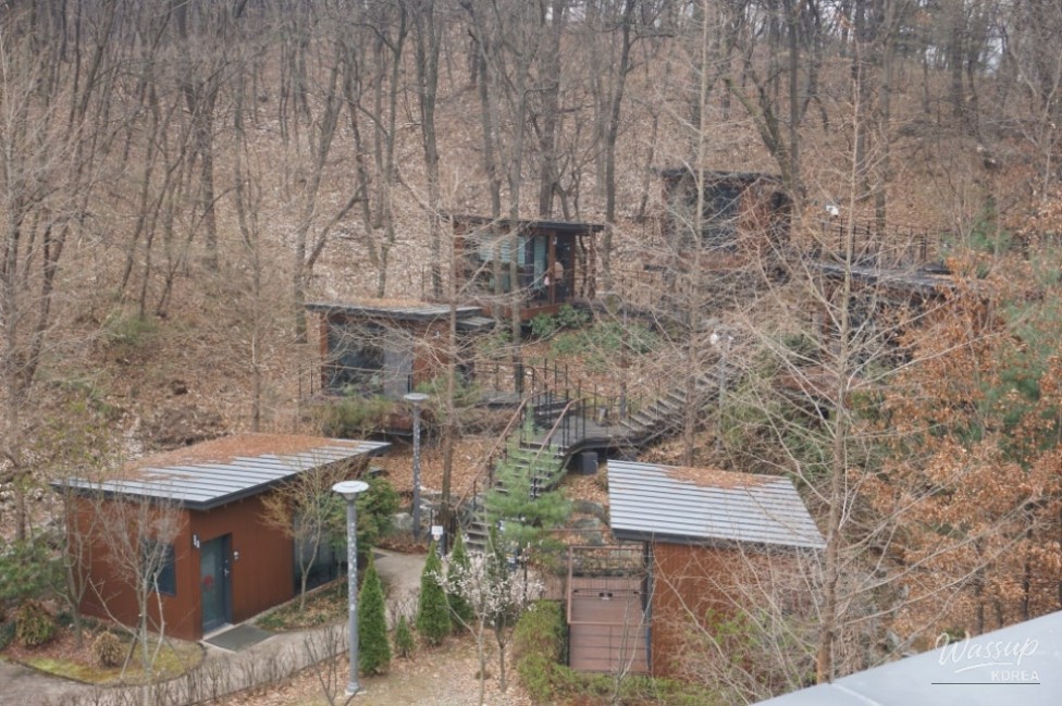 Changes to the Reservation System for the Green Forest Reading Area_03