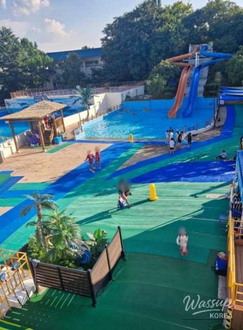 Exciting Summer Water Parks Opening in Daegu 2026_04
