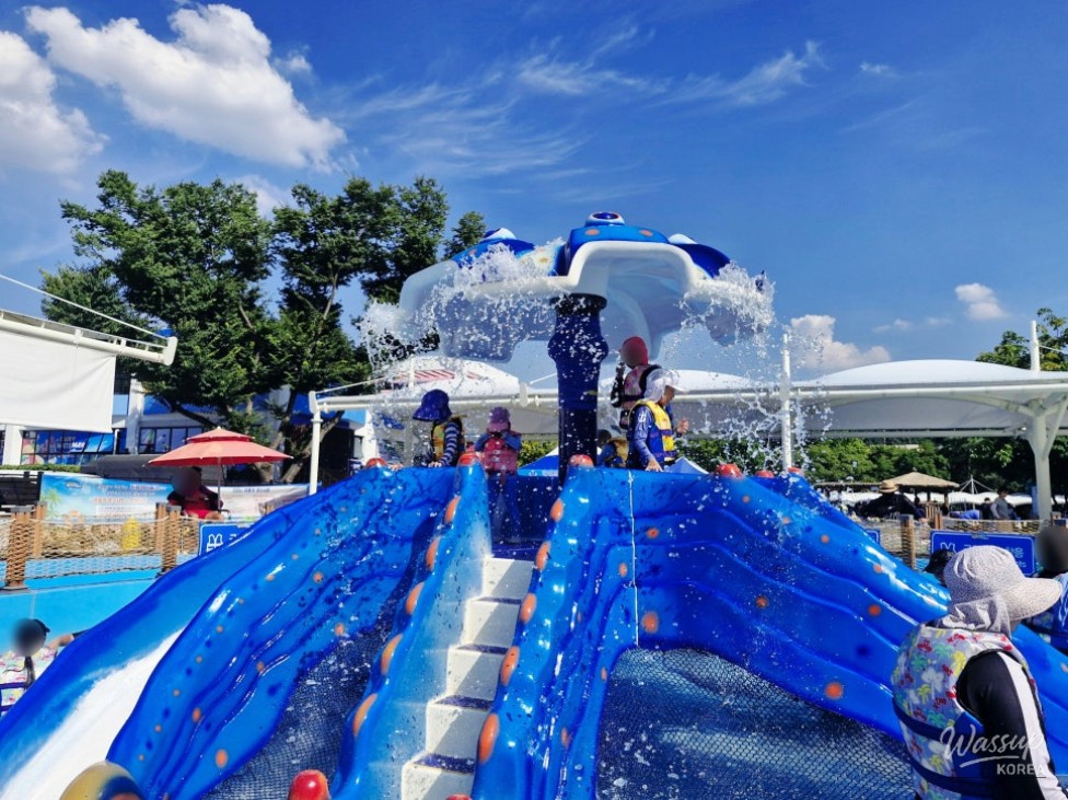 Exciting Summer Water Parks Opening in Daegu 2026_03