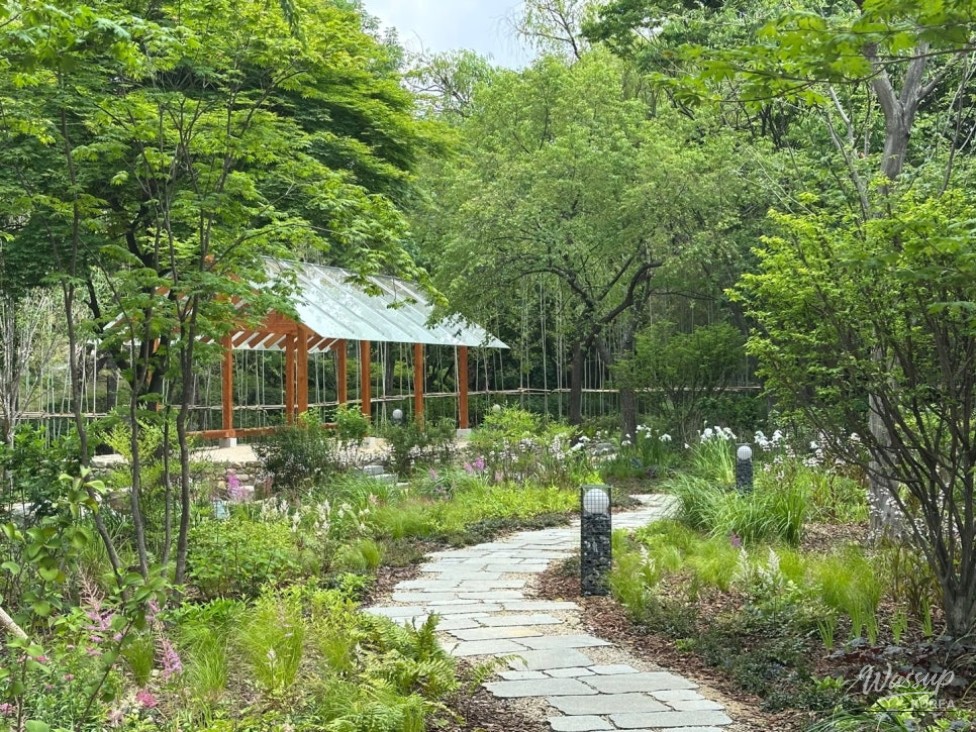 Discover the Beauty of Korean Forest Gardens_02