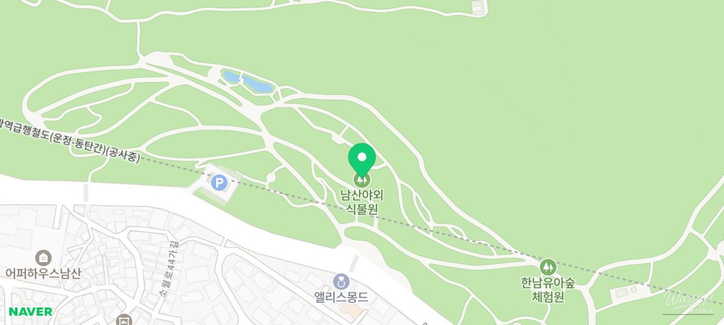 Discover the Beauty of Korean Forest Gardens_05