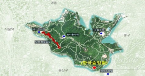 Discover the Beauty of Korean Forest Gardens_04