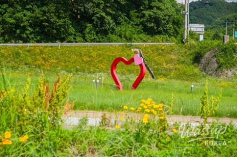 A Serene Floral Retreat in Gyeongbuk_08