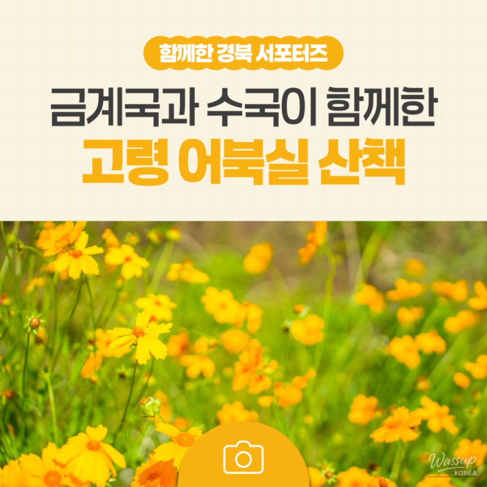 A Serene Floral Retreat in Gyeongbuk_25