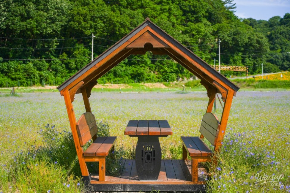 A Serene Floral Retreat in Gyeongbuk_18