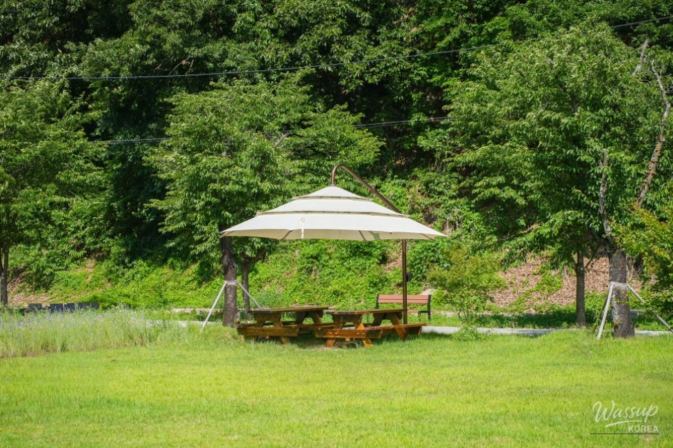 A Serene Floral Retreat in Gyeongbuk_17