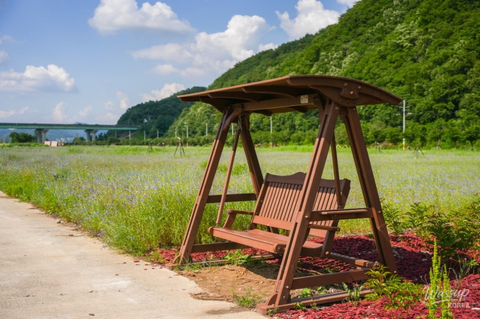 A Serene Floral Retreat in Gyeongbuk_20