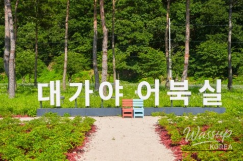 A Serene Floral Retreat in Gyeongbuk_09