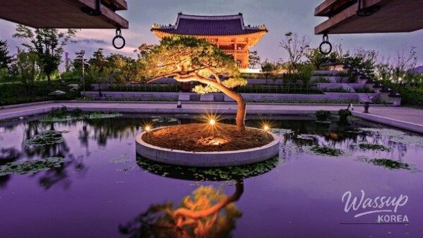 Discover the Beauty of Nature: Two Must-Visit Arboretums in Chungcheong_03
