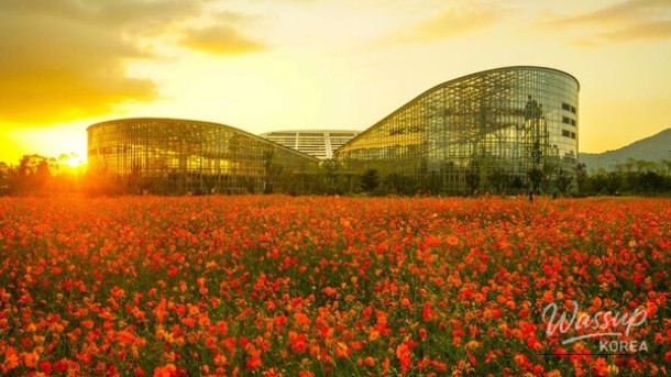 Discover the Beauty of Nature: Two Must-Visit Arboretums in Chungcheong_04