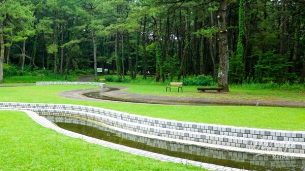 Discover the Beauty of Nature: Two Must-Visit Arboretums in Chungcheong_05