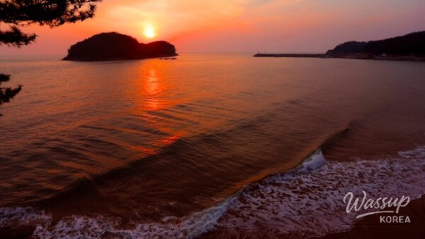 Discover the Beauty of Nature: Two Must-Visit Arboretums in Chungcheong_02