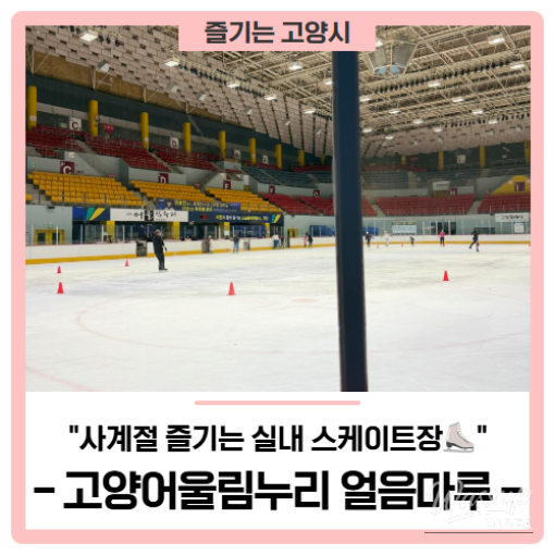 Indoor Ice Skating Fun for Kids in Deogyang-gu_01
