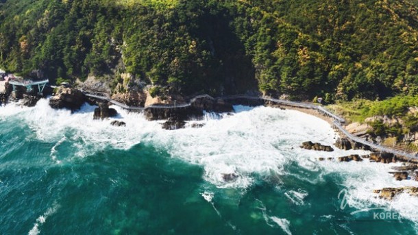Exploring the Hidden Beauty of Gangneung's Sea Fan Road_04