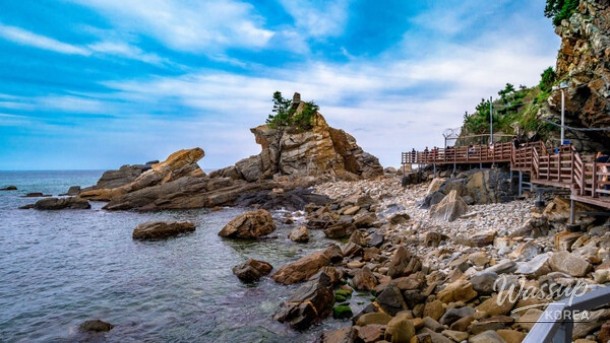 Exploring the Hidden Beauty of Gangneung's Sea Fan Road_03