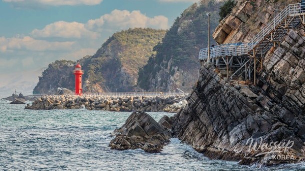 Exploring the Hidden Beauty of Gangneung's Sea Fan Road_05