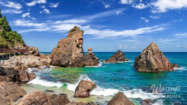 Exploring the Hidden Beauty of Gangneung's Sea Fan Road_01