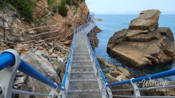 Exploring the Hidden Beauty of Gangneung's Sea Fan Road_02