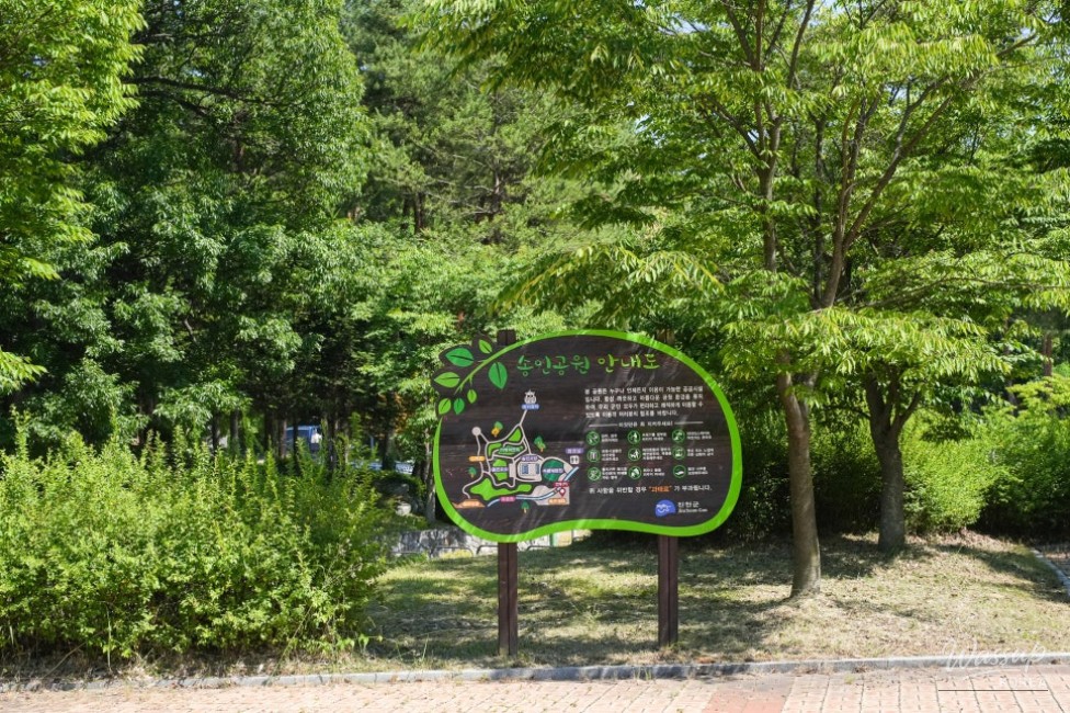 Exploring Songin Park in Jincheon_04
