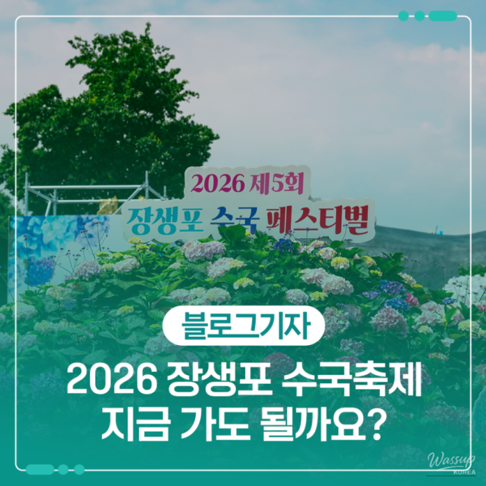 Visit to the Jangsaengpo Hydrangea Festival2078