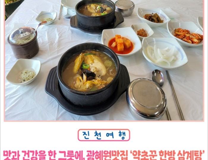 Herbalist's Ginseng Chicken Soup float
