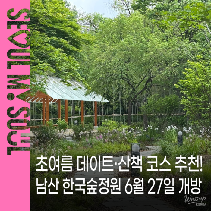 Discover the Beauty of Korean Forest Gardens1396