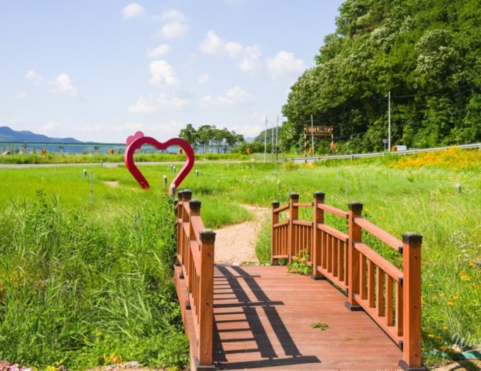 A Serene Floral Retreat in Gyeongbuk float