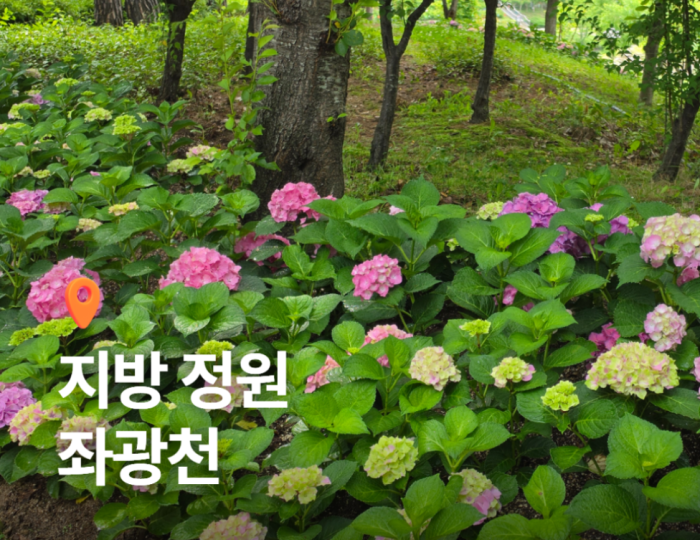 Exploring Jwawangcheon: A Seasonal Flower Haven in Gijang-gun float