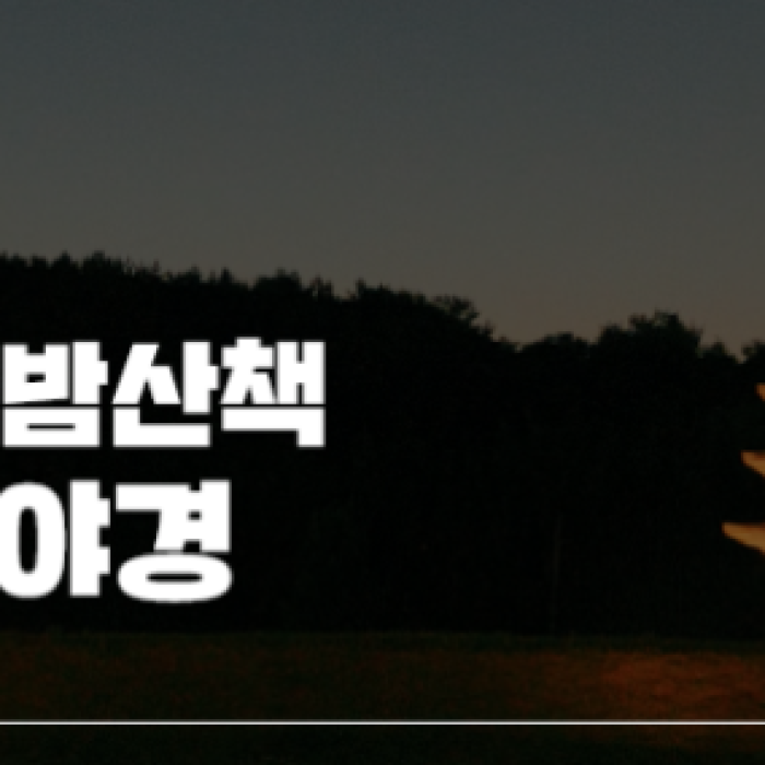 A Night Walk Through Iksan Mireuksaji: Embracing the Moonlit Night of Baekje2083