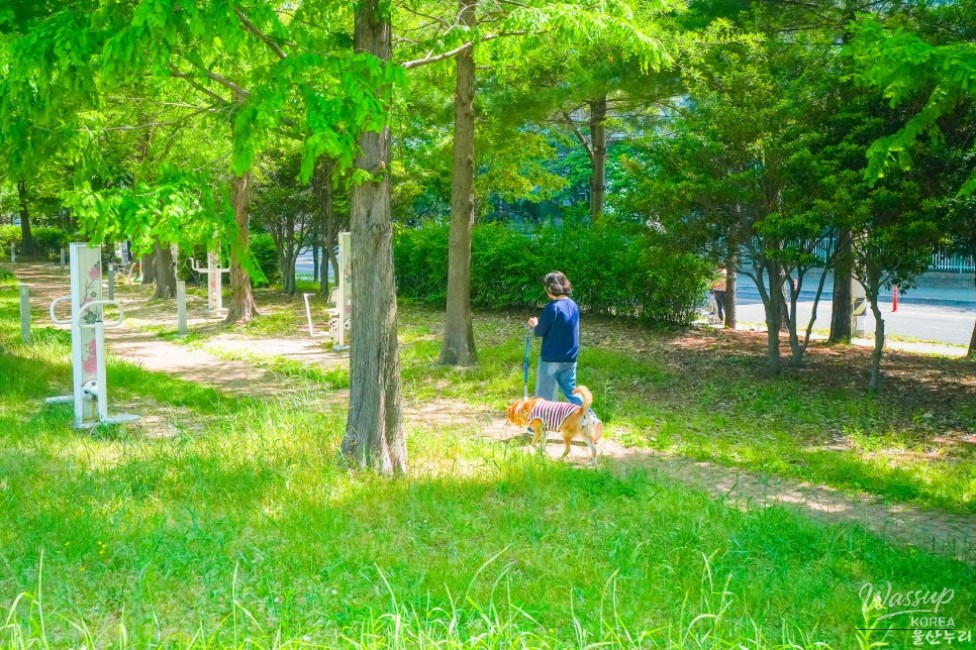 Exploring Myungchon Neighborhood Park in Ulsan_03