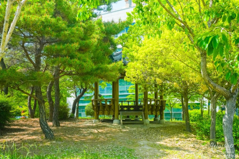 Exploring Myungchon Neighborhood Park in Ulsan_04
