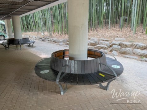Experience Nature and Wellness at Taehwa River National Garden_03