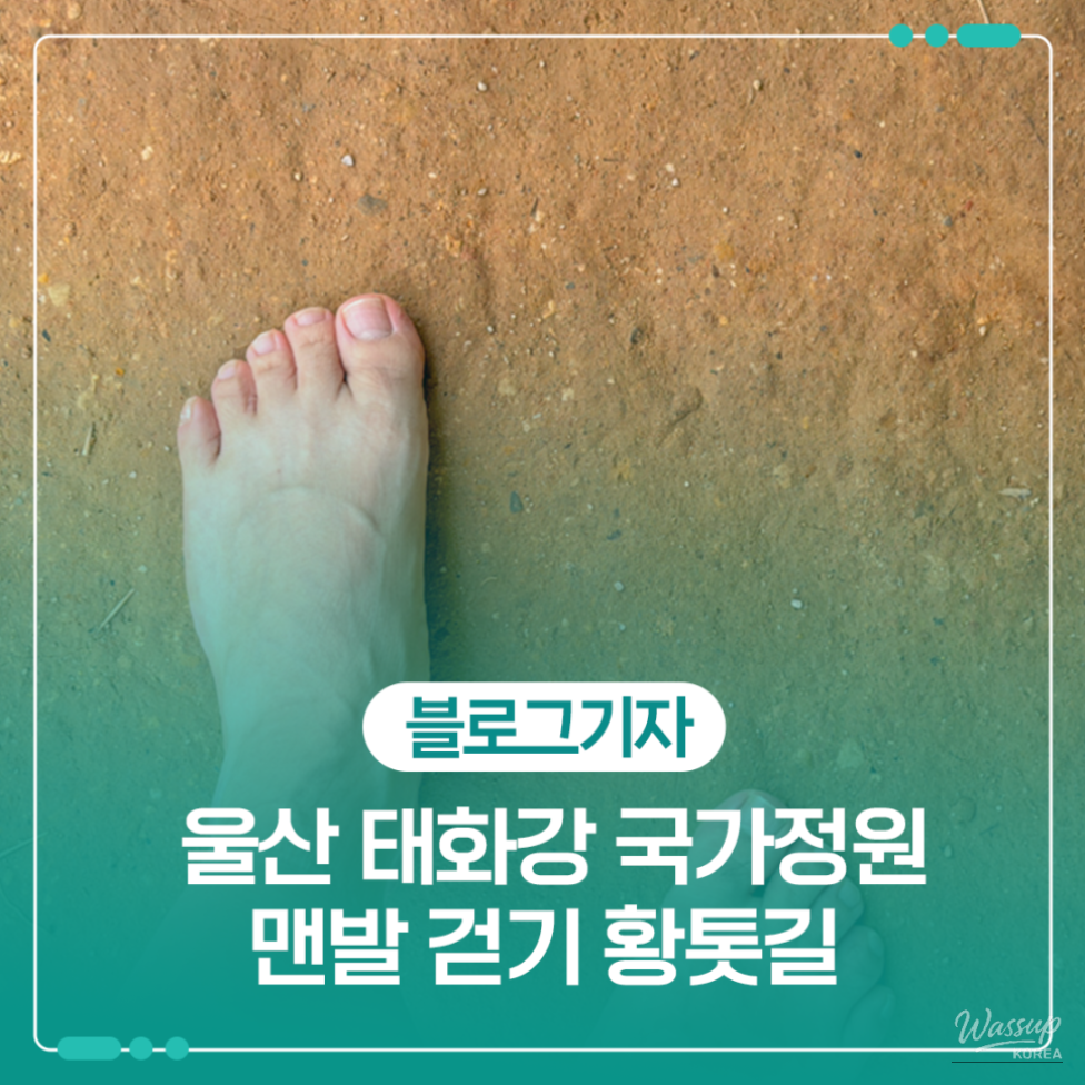 Experience Nature and Wellness at Taehwa River National Garden_01