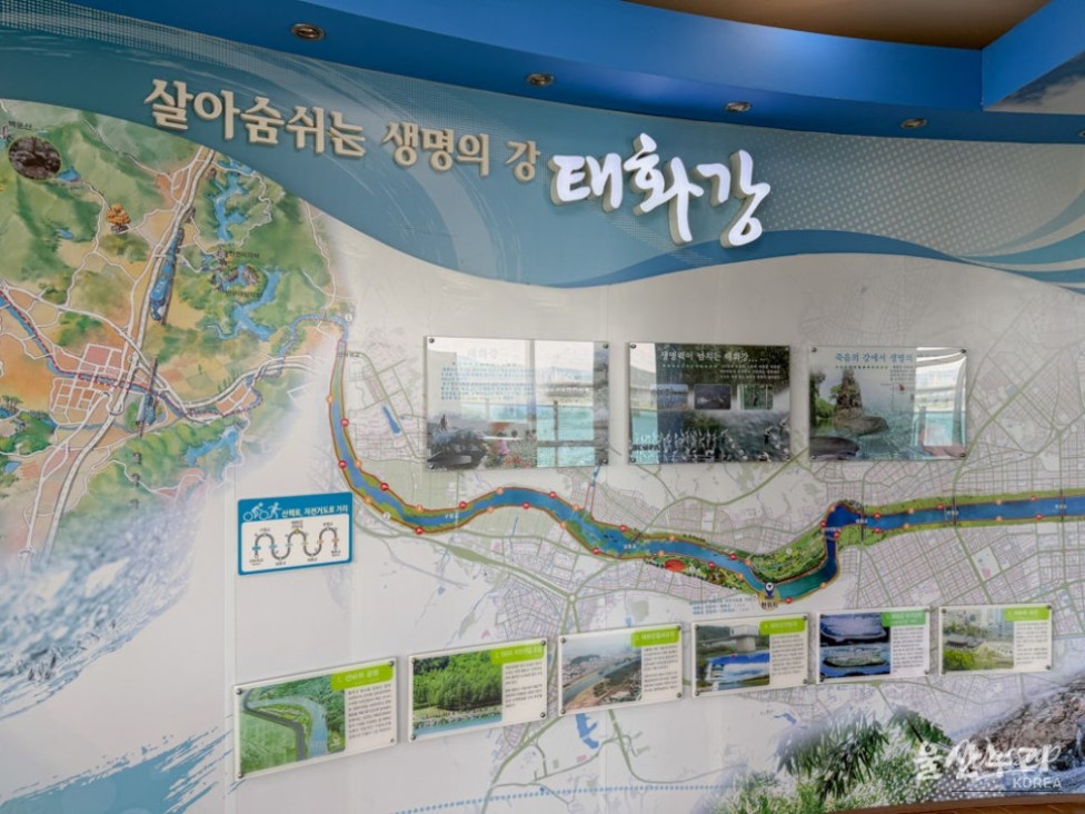 Discovering the Taehwa River: A Must-Visit Spot in Ulsan_05