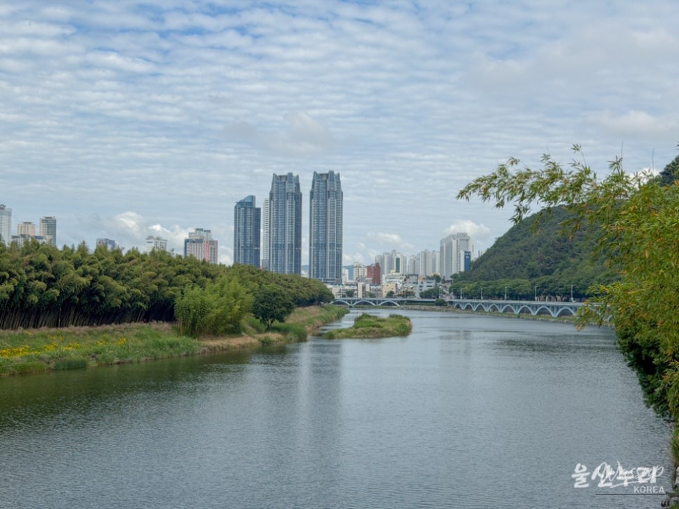 Discovering the Taehwa River: A Must-Visit Spot in Ulsan_04
