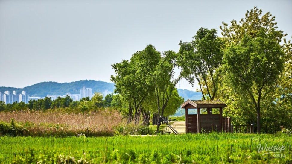 Exploring Green Spaces in Gyeonggi Province_05