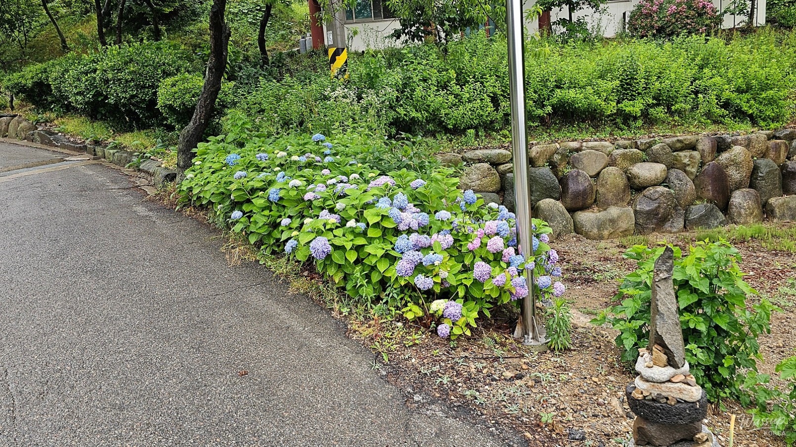 Finding Serenity at Seowonsa Temple_02