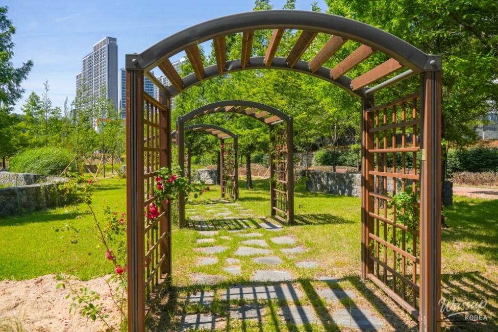 Exploring Gangdamal Park: A Serene Escape in Jincheon_19