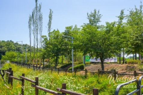 Exploring Gangdamal Park: A Serene Escape in Jincheon_11