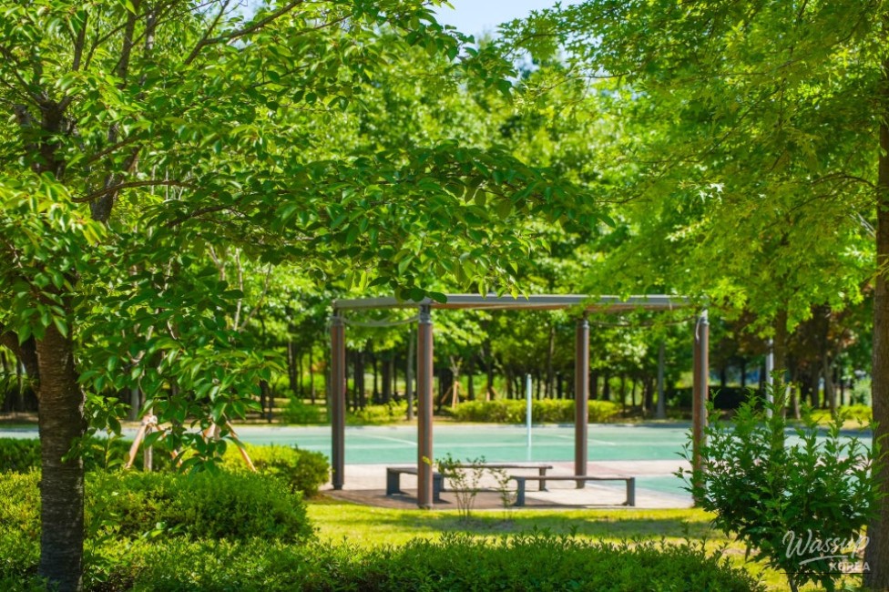 Exploring Gangdamal Park: A Serene Escape in Jincheon_08