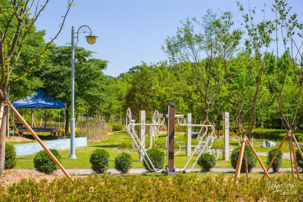 Exploring Gangdamal Park: A Serene Escape in Jincheon_05