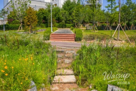 Exploring Gangdamal Park: A Serene Escape in Jincheon_12