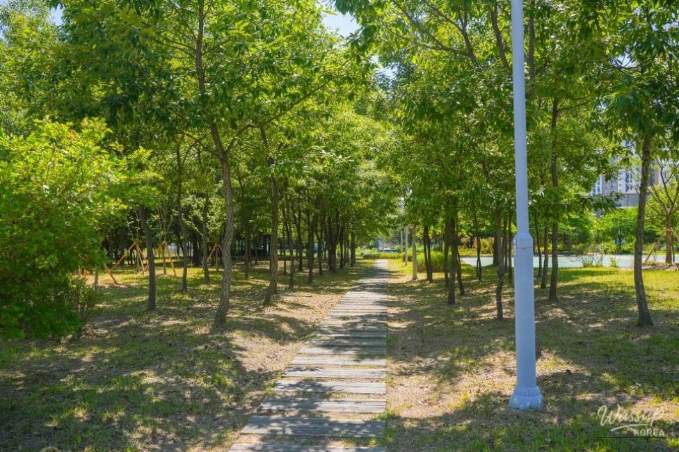 Exploring Gangdamal Park: A Serene Escape in Jincheon_10