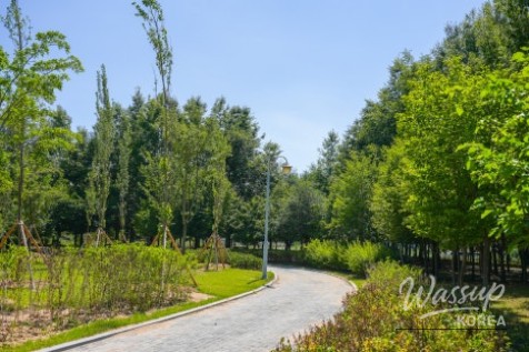 Exploring Gangdamal Park: A Serene Escape in Jincheon_06