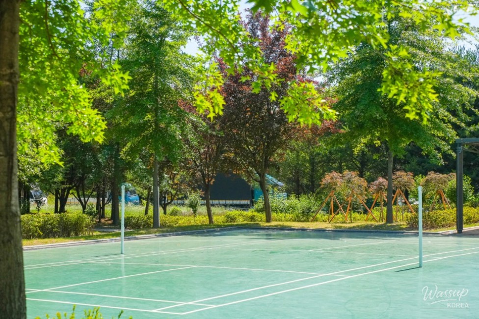 Exploring Gangdamal Park: A Serene Escape in Jincheon_22