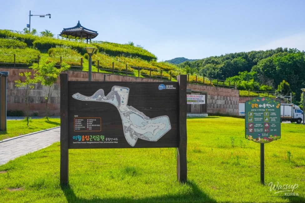 Exploring Songnim Neighborhood Park: A Natural Oasis in Jincheon_02