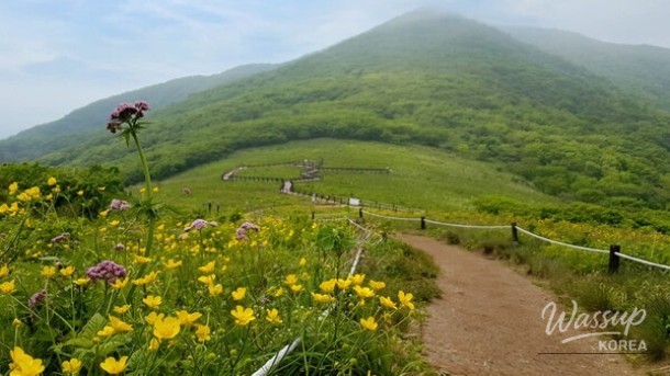 Discover the Natural Coolness of Inje, Korea_05