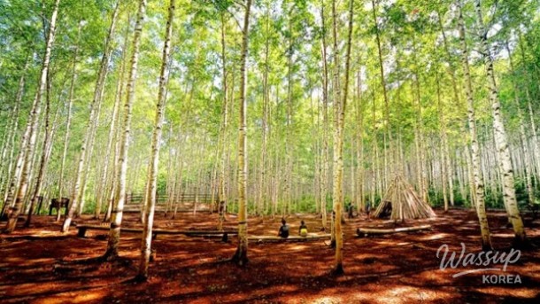 Discover the Natural Coolness of Inje, Korea_03