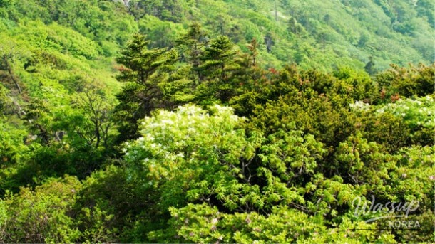 Explore the Refreshing Attractions of Muju, South Korea_01