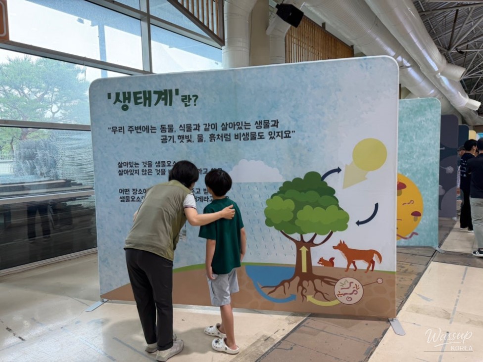 Celebrating Environmental Day 2026: Small Hands, Big Impact_03